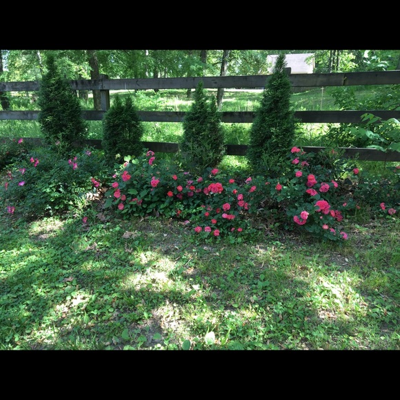 Meet your Posher, Janet - Picture 6 of 16